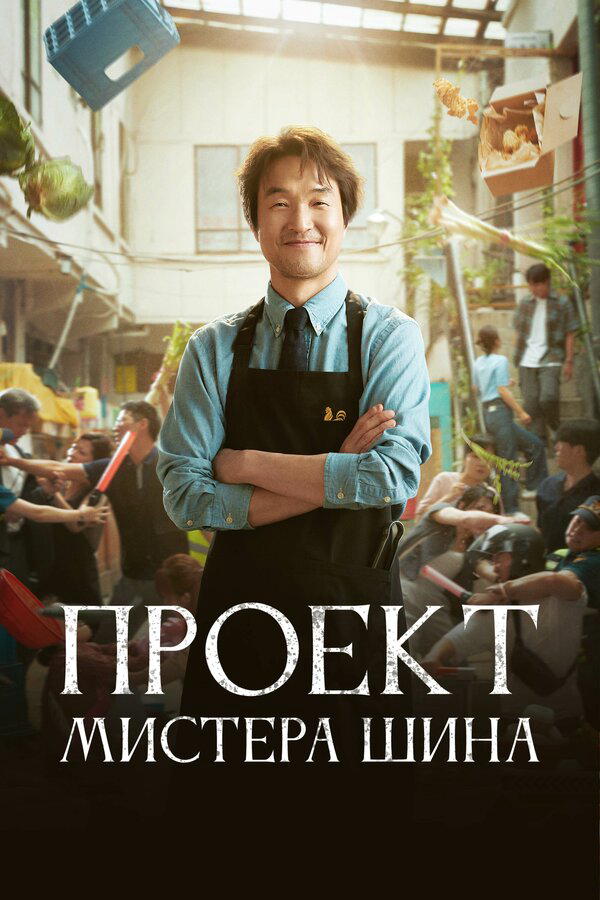 Проект мистера Щина - постер сериала